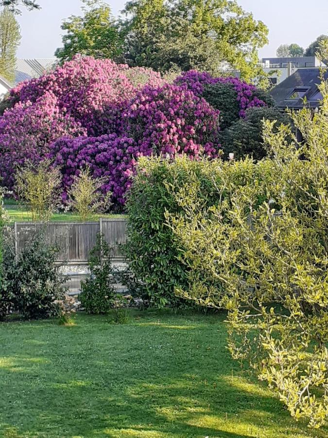 Bed and Breakfast Manoir De L'As De Trefle Isneauville Zewnętrze zdjęcie